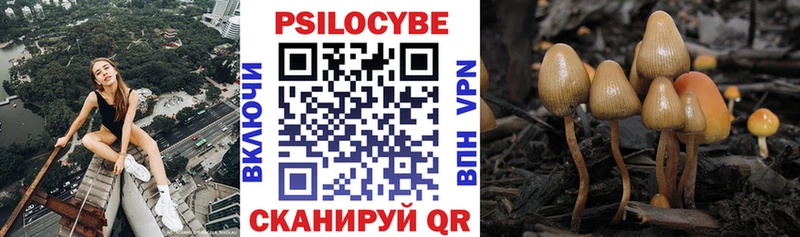 Псилоцибиновые грибы мицелий купить наркоту Разумное